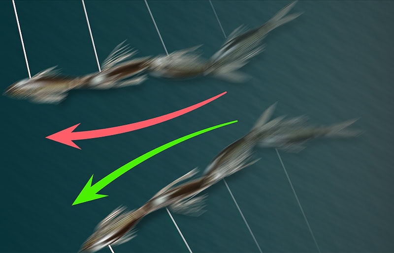 Appât lisse Jackall