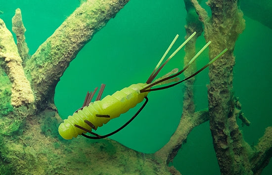 Jackall WamWam 48 Fusée éclairante