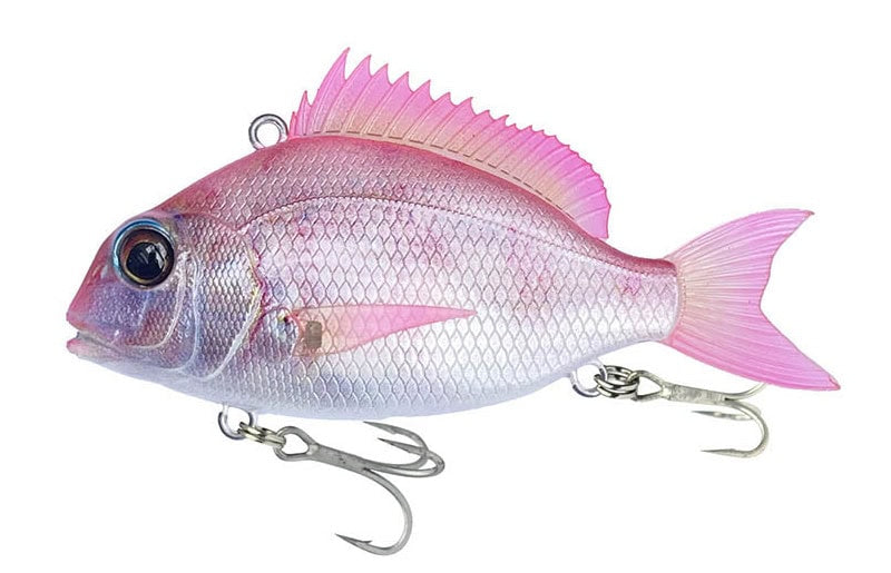 Petit Jack Charikom 50