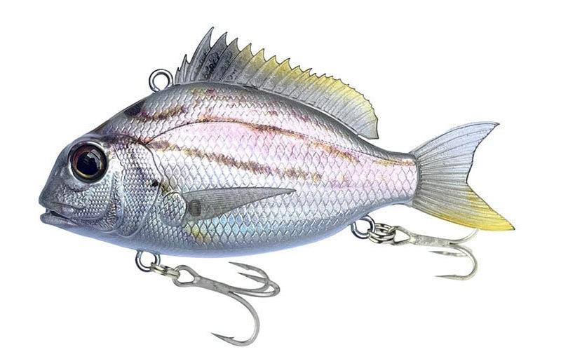 Petit Jack Charikom 50