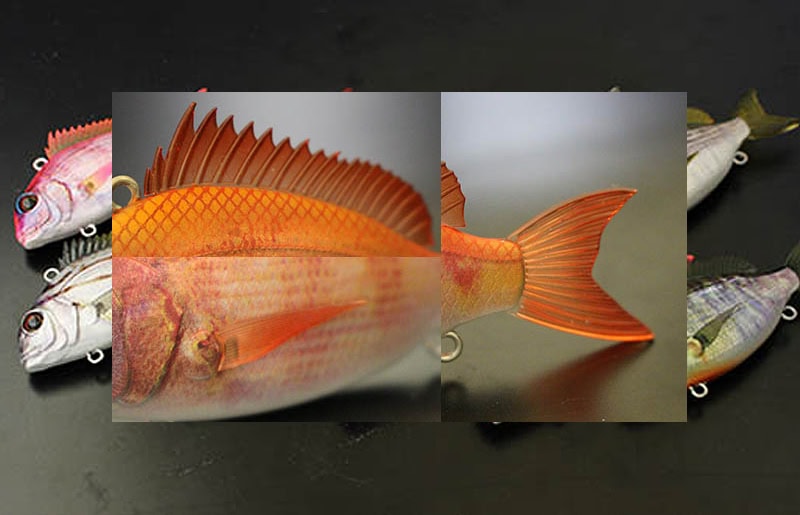 Petit Jack Charikom 50