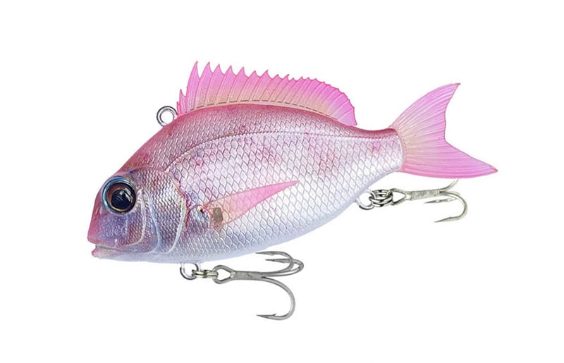 Petit Jack Charikom 50