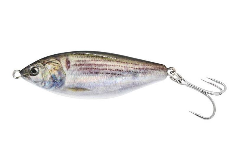 Little Jack Forma Spoon