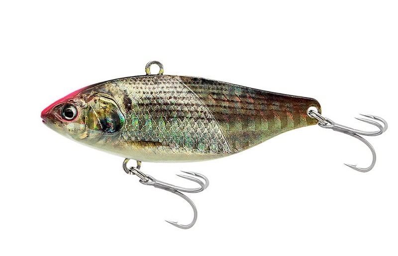 Petit Jack Plus Passionné 02