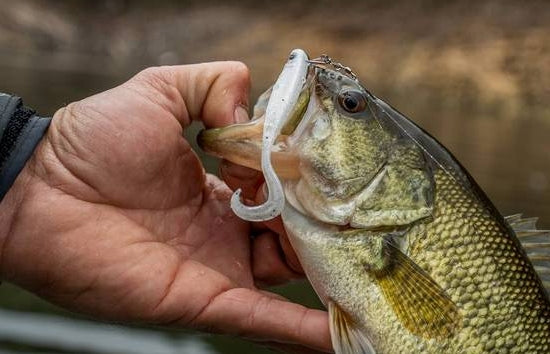 Mustad Mezashi Cross Queue Curly 3,5"