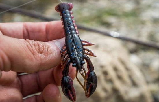 Jupe de homard Mustad Mezashi 3"