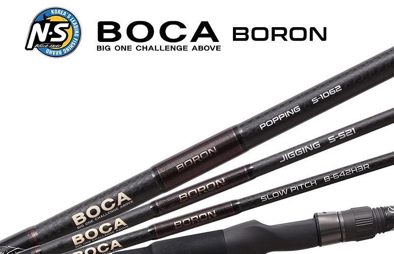 NS BlackHole Boca Boron