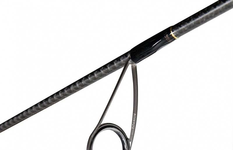 NS BlackHole Eldorado Generation