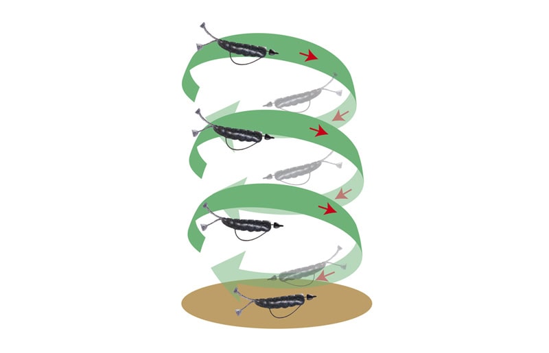 OSP DoLive SS-Gill 3.6"