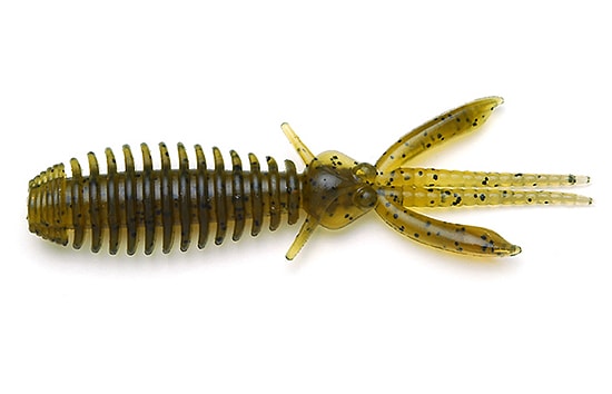 Bug EGU de Raid Japan