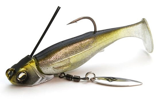 Libéro de la natation en chef de Raid Japan