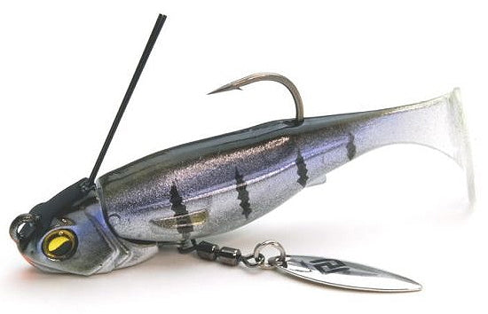 Libéro de la natation en chef de Raid Japan