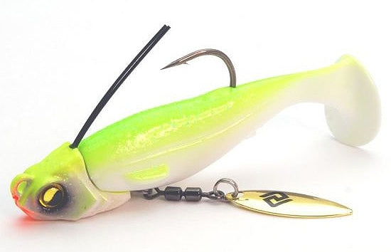 Libéro de la natation en chef de Raid Japan