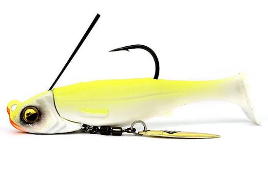 Libéro de la natation en chef de Raid Japan