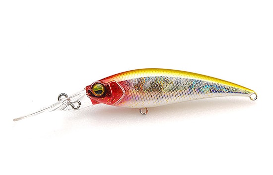 Raid Japon Niveau Shad Sprinter 68MR