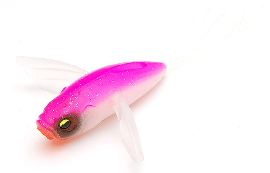 Raid Japon Micro Dodge Grand