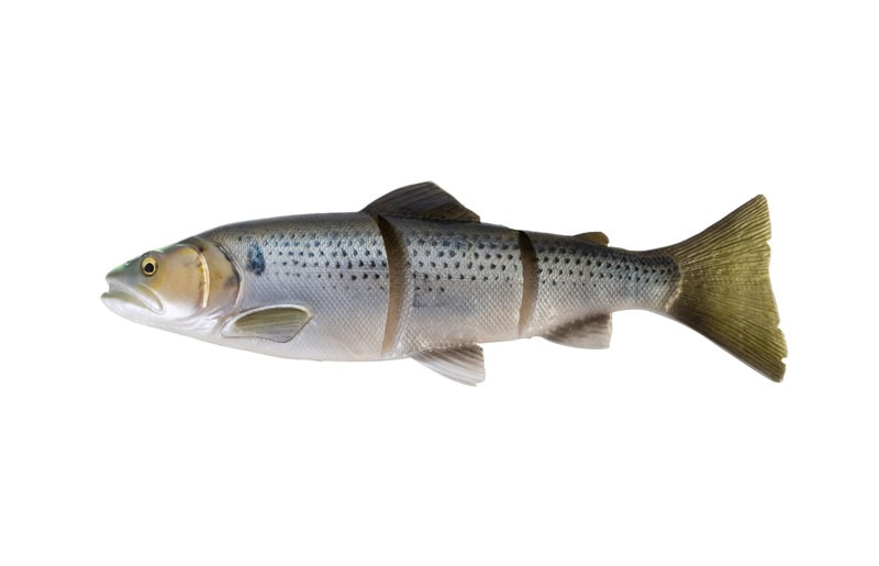 Savage Gear 3D Line Through Trout 15.75" SS