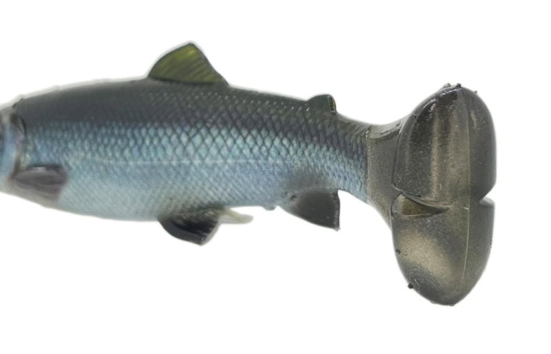 Savage Gear 4D Line Through Pulse Tail Trout 6" SS