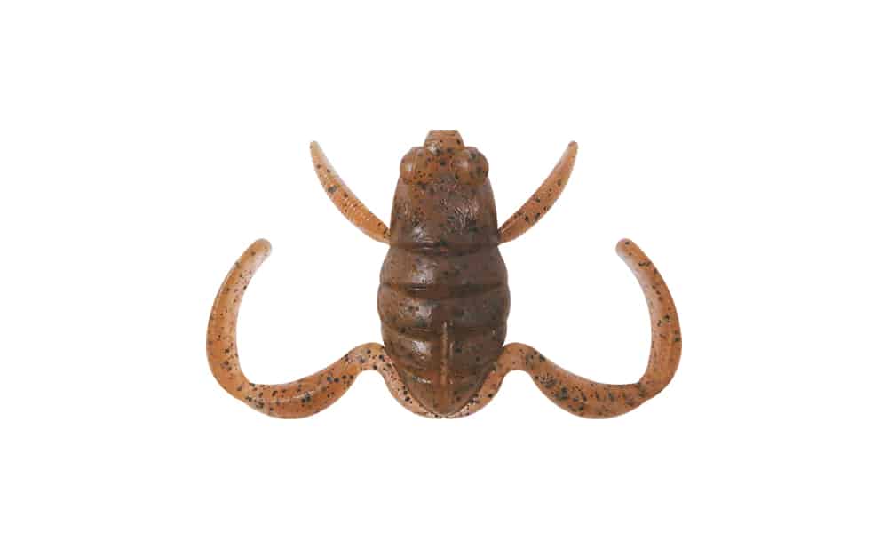 Papa grenouille BottomUp Scooper