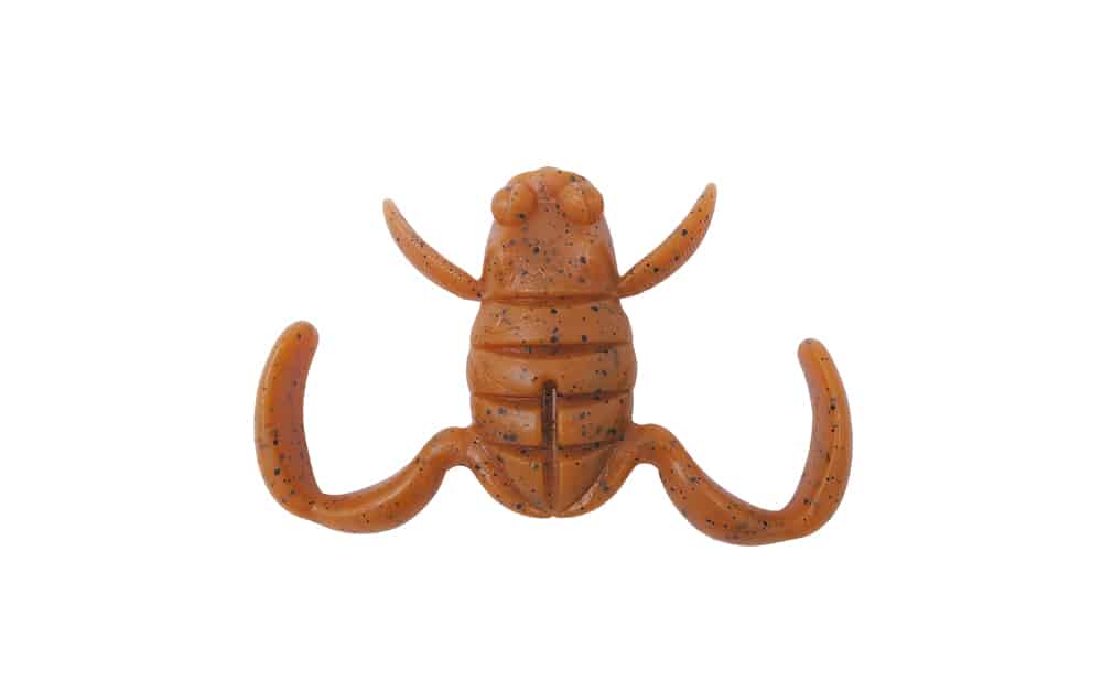 Grenouille à cuillère BottomUp