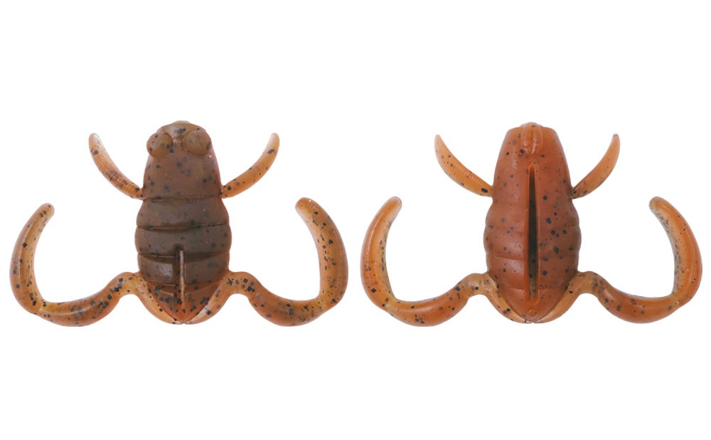 Grenouille à cuillère BottomUp