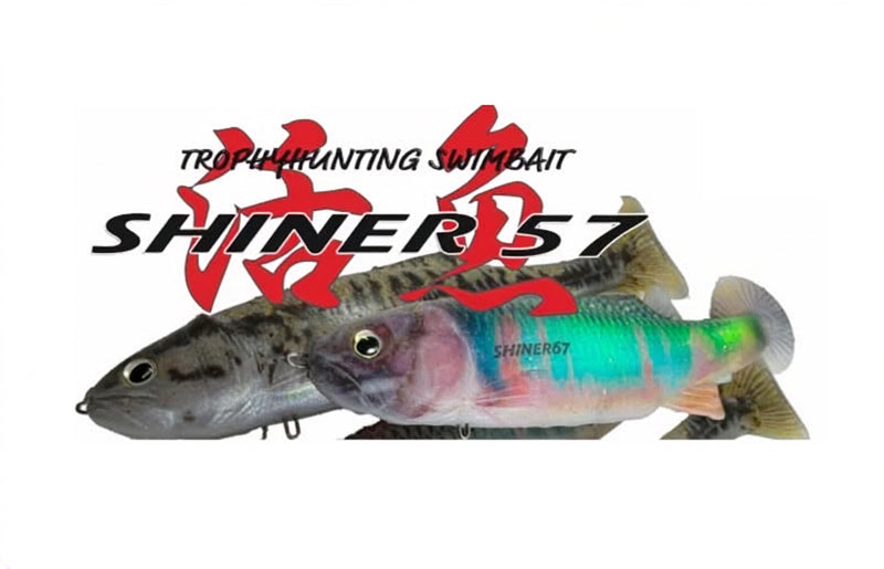 Signal Shiner 57