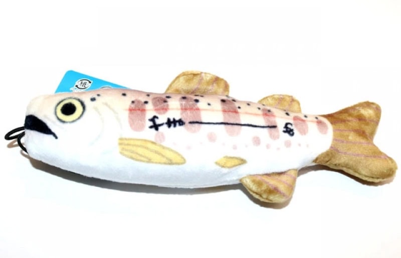 Kawachi Fish Mascot