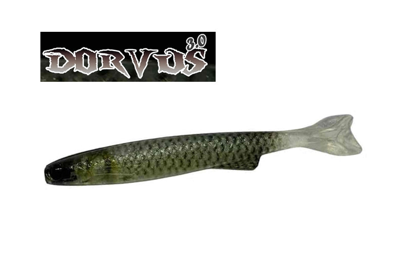 YG.labo Dorvus 3.0 Real