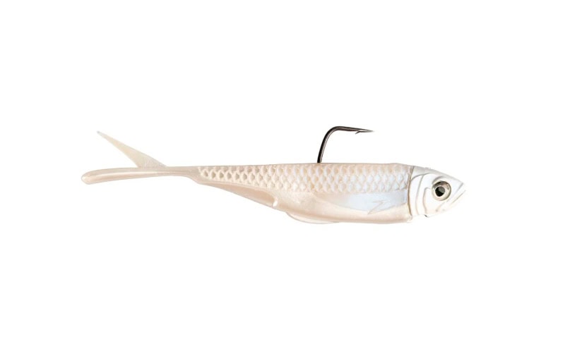 Z-Man Graph ShadZ 3,8"