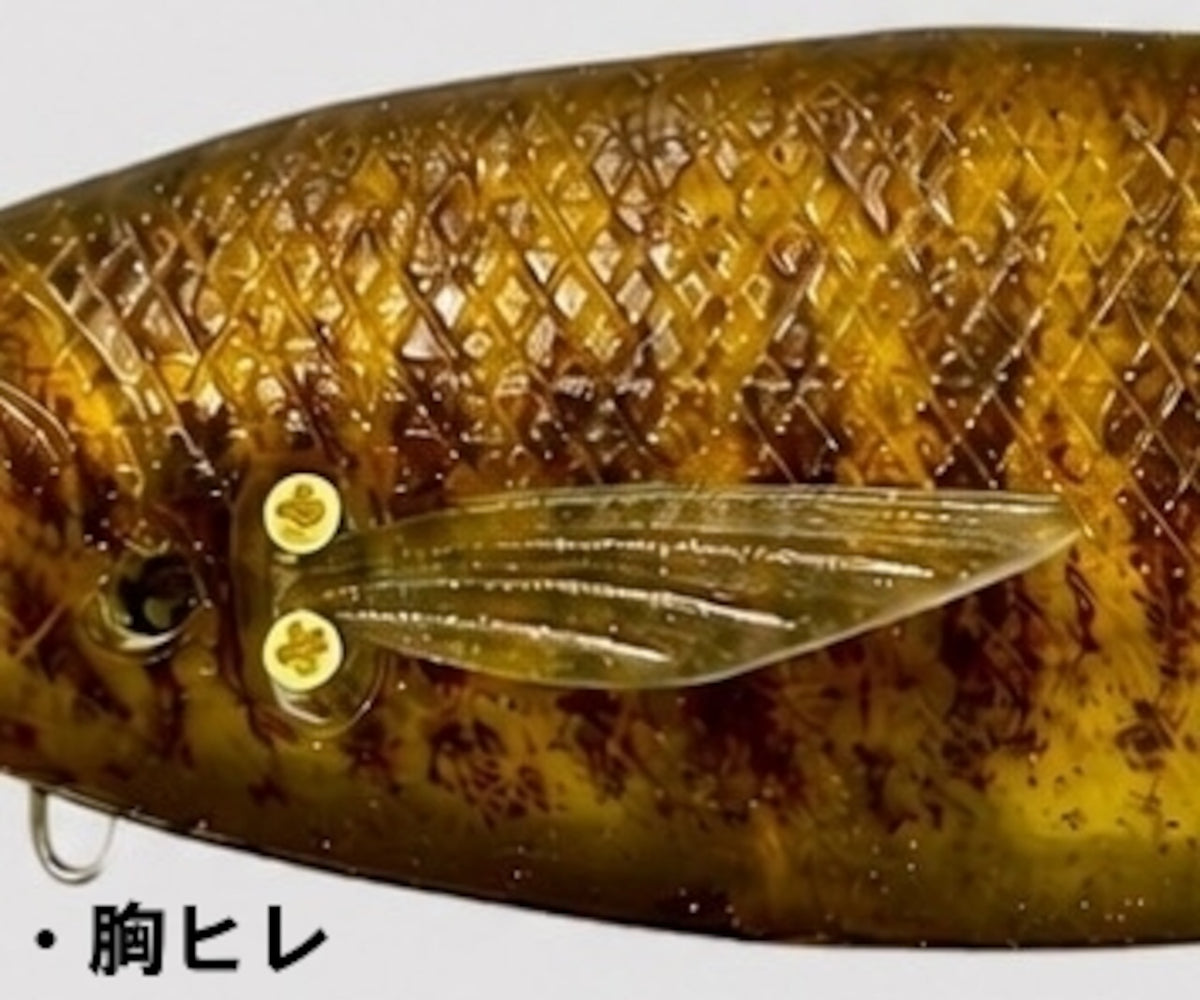 YG.Labo Dorvus 180