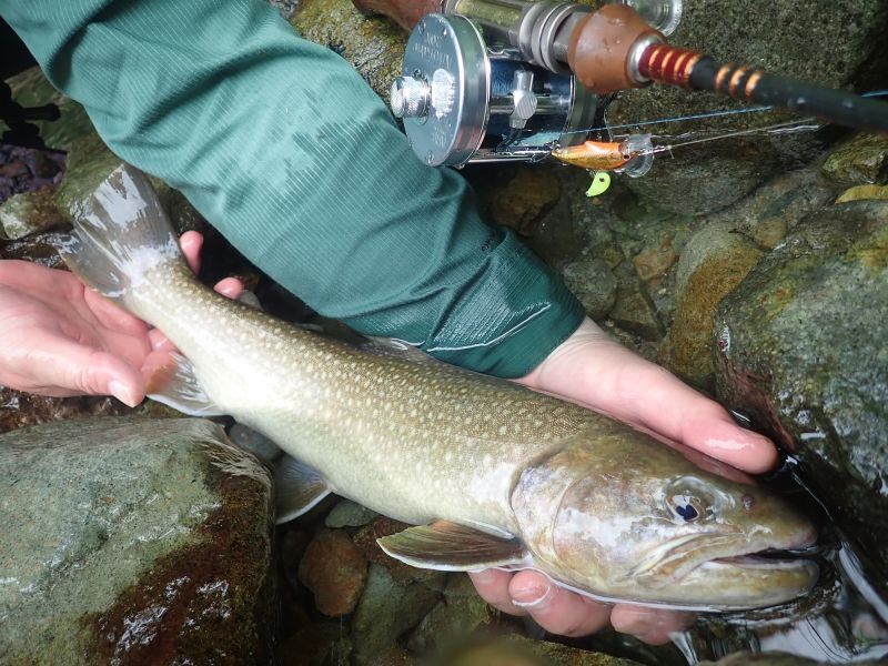 Wessex Trout Rod Spiral R WSE-C48SP