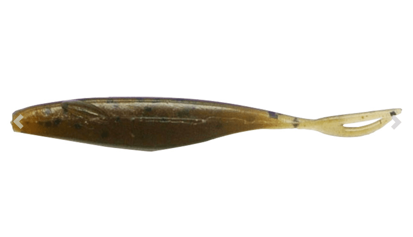 Reins Ajimata Shad x DEPS