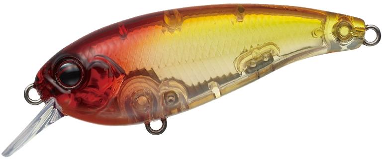 Belcanto à feuilles persistantes