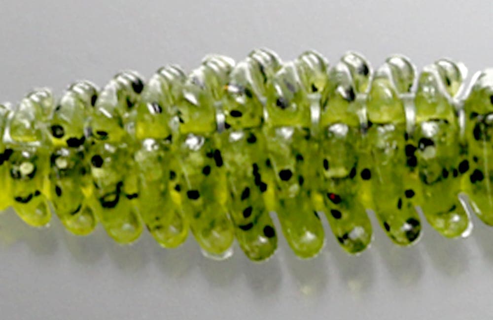 Issei BiBiBi Bug 3.2"