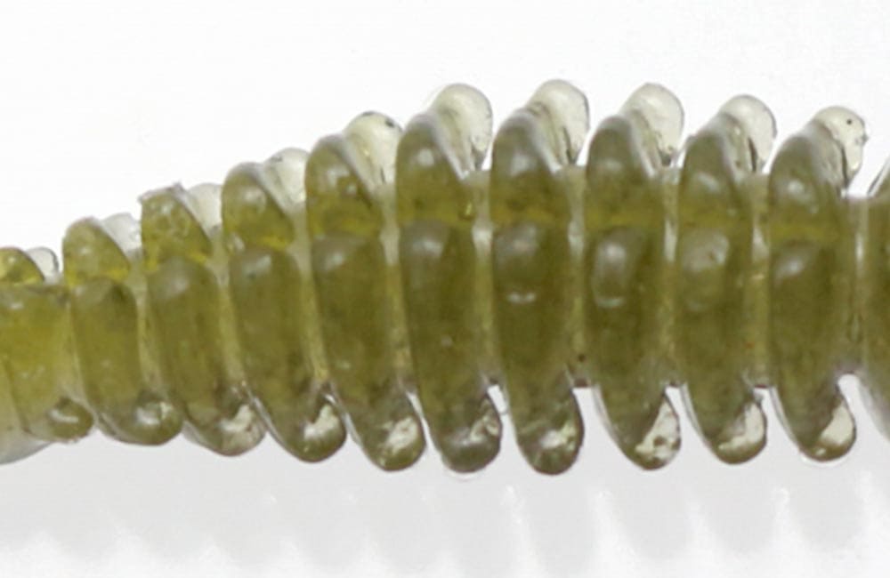 Issei BiBiBi Bug 3.2"