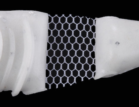 Poisson à prime Jackall 158