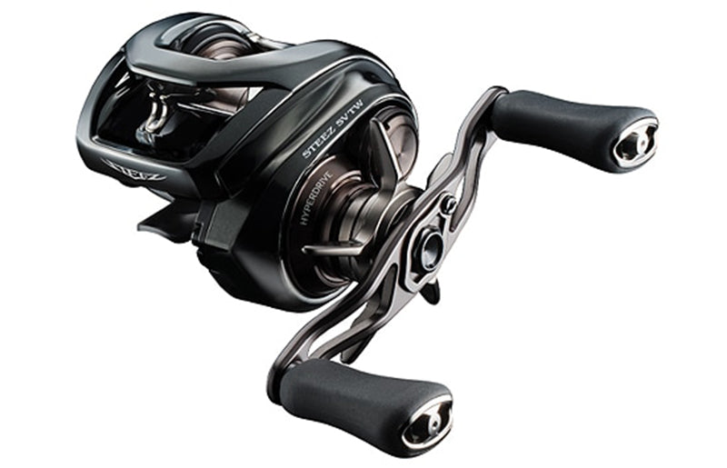 Daiwa 24 Steez SV TW 100