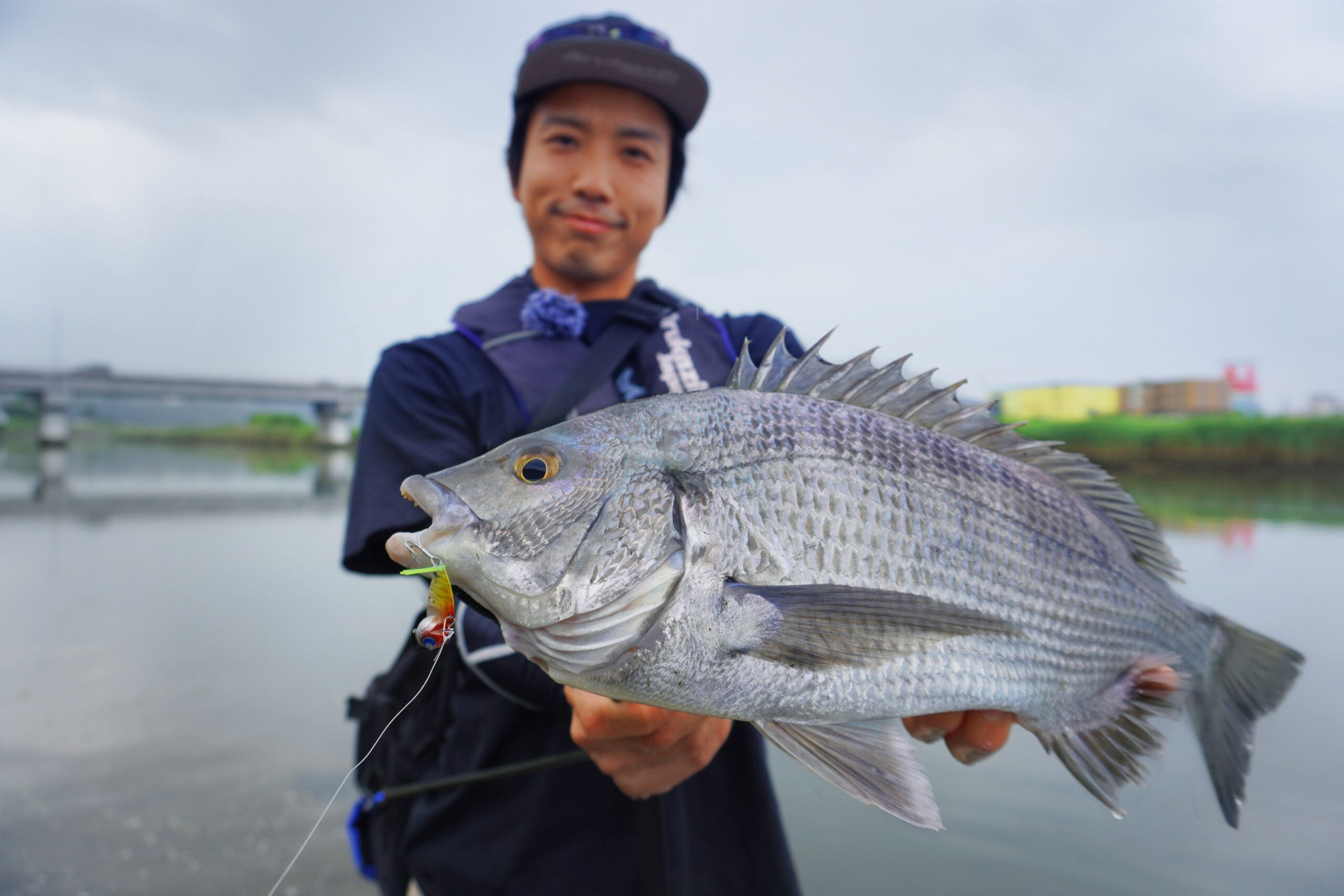 Kizakura Negakaranizer 10g
