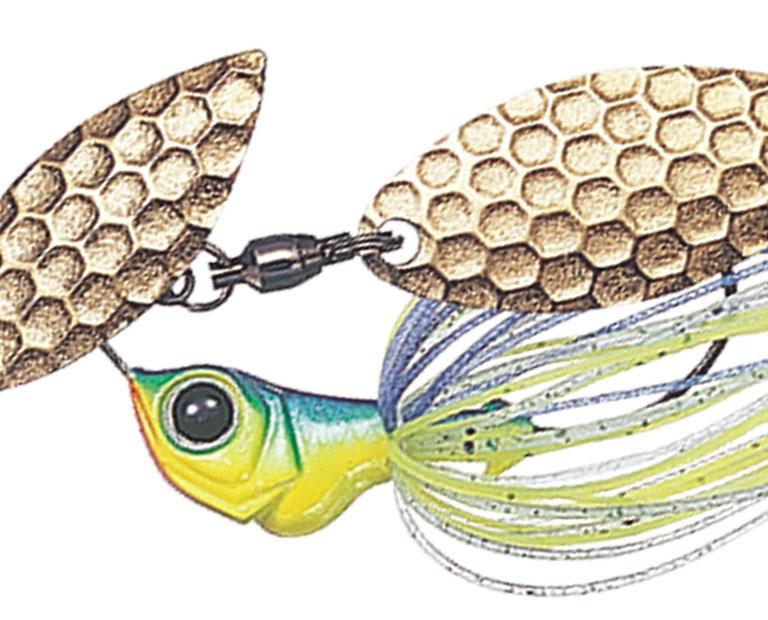 Evergreen D-Zone Fry