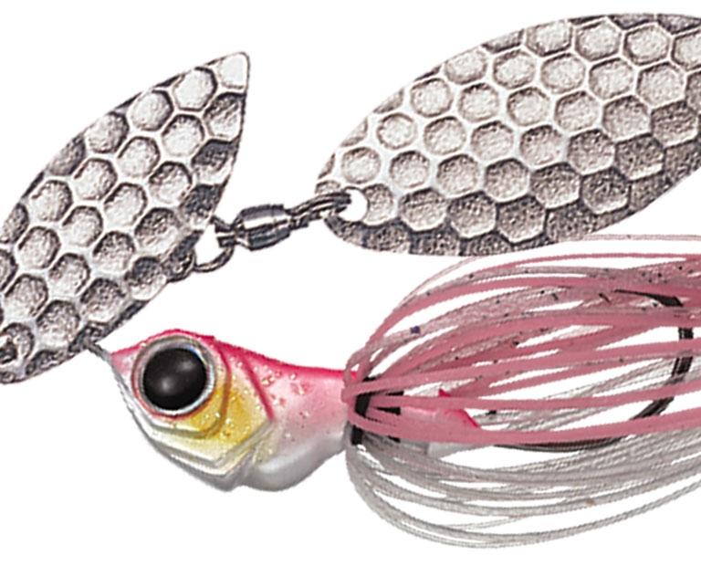 Evergreen D-Zone Fry