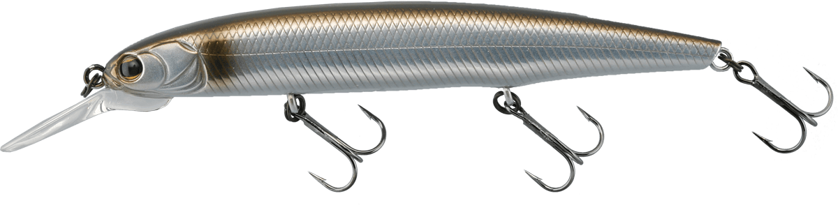 Imakatsu Dardo 100SP