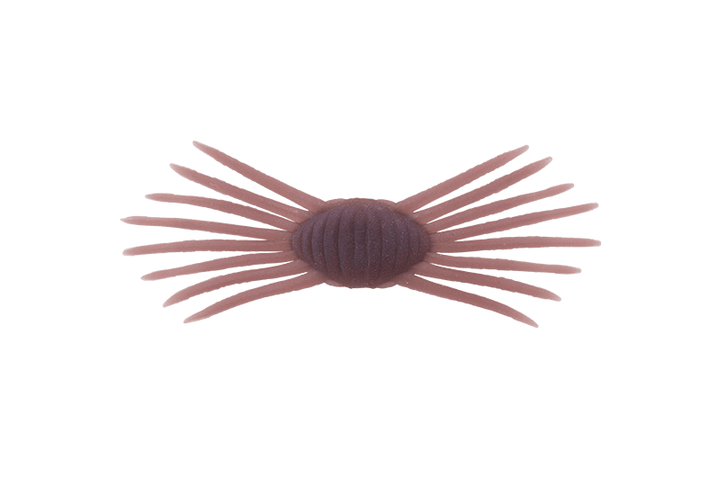 Jackall DriftCrab Mini