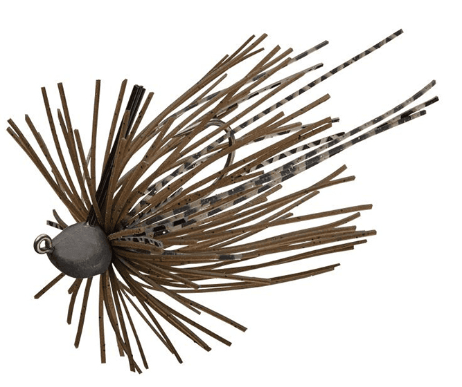 Evergreen Cover Creeper