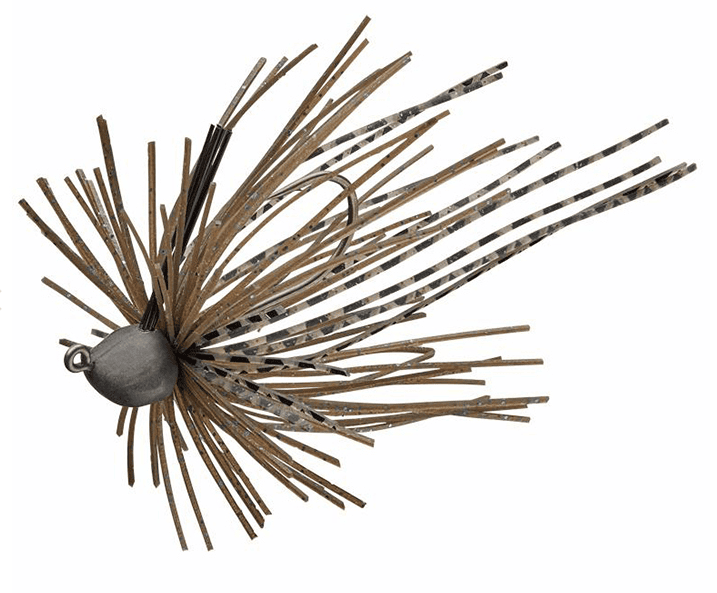 Evergreen Cover Creeper