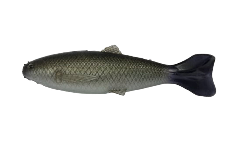 YG.Labo Dorvus 180
