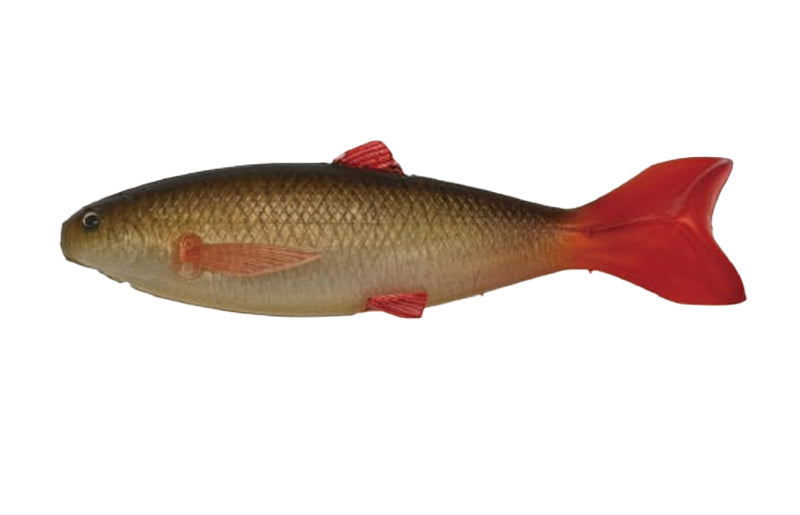YG.Labo Dorvus 180