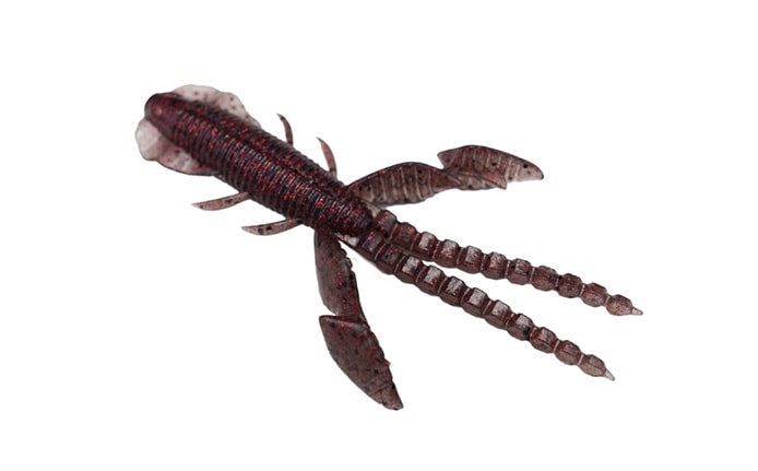 Insecte empel des Galapagos