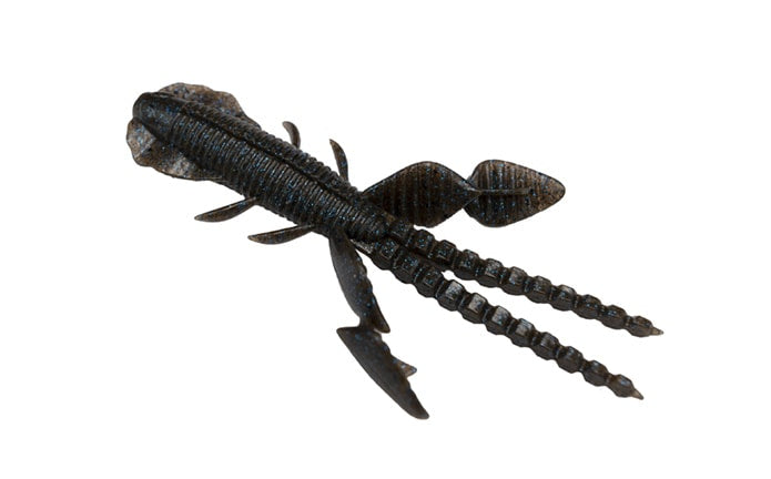 Insecte empel des Galapagos