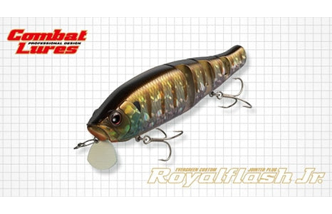 Evergreen Royal Flash Jr