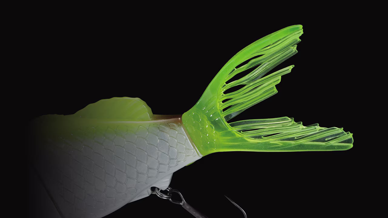 Shimano Bantam Bt Sraptor